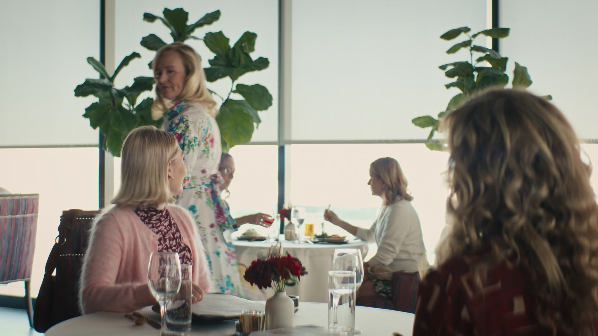 Grosse_Pointe_Garden_Society_S01E06_1080p_ASRO_001876.jpg Grosse_Pointe_Garden_Society_S01E06_1080p_ASRO_001876.jpg
