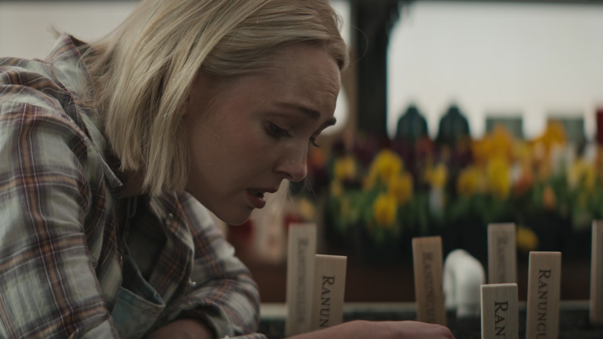 Grosse_Pointe_Garden_Society_S01E07_1080p_ASRO_003281.jpg Grosse_Pointe_Garden_Society_S01E07_1080p_ASRO_003281.jpg