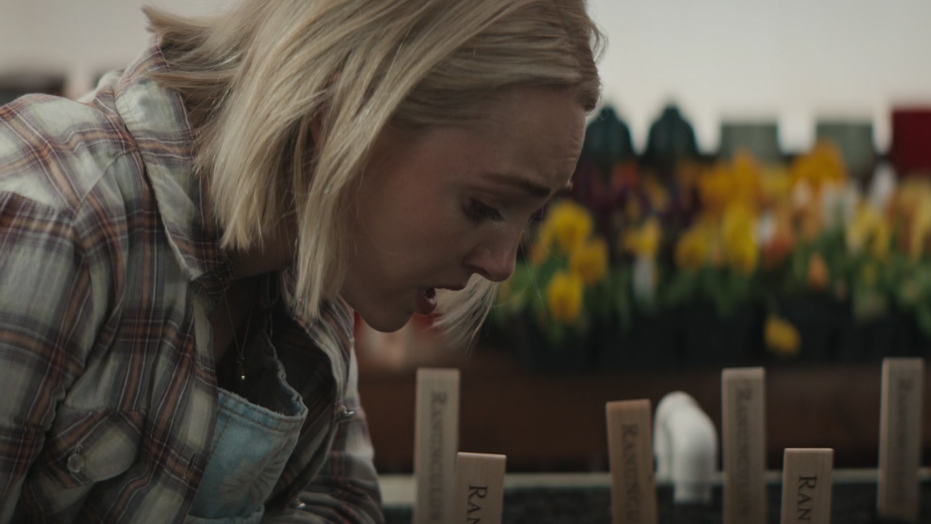 Grosse_Pointe_Garden_Society_S01E07_1080p_ASRO_003474.jpg Grosse_Pointe_Garden_Society_S01E07_1080p_ASRO_003474.jpg