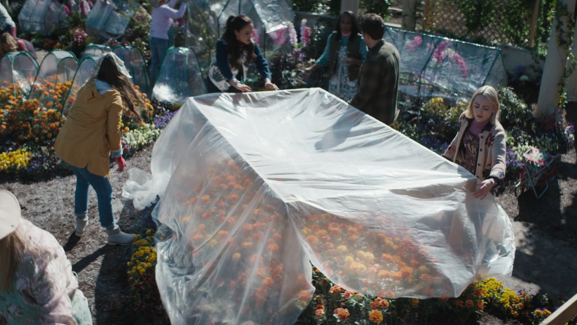 Grosse_Pointe_Garden_Society_S01E08_1080p_ASRO_002386.jpg Grosse_Pointe_Garden_Society_S01E08_1080p_ASRO_002386.jpg