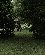Filename=Mercy_Street_S01E05_The_Dead_Room_1080p_BluRay__ASRO_004979.jpg
Filesize=365KiB
Dimensions=1920x1080
Date added=Sep 19, 2026 Mercy_Street_S01E05_The_Dead_Room_1080p_BluRay__ASRO_004979.jpg