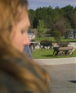 The_Act_S01E04_Stay_Inside_1080p_ASRO_003332.jpg