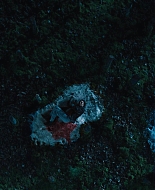 The_Expecting_S01E07_1080p_ASRO_001058.jpg
